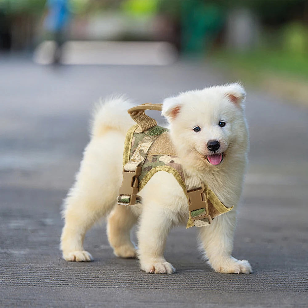 Tactical Cat Harness β Adjustable Military Vest for Cats & Small Dogs | Escape-Proof, Padded & Training Control Handle All orders ship fast from our USA warehouse πΊπΈ (3-7 days)