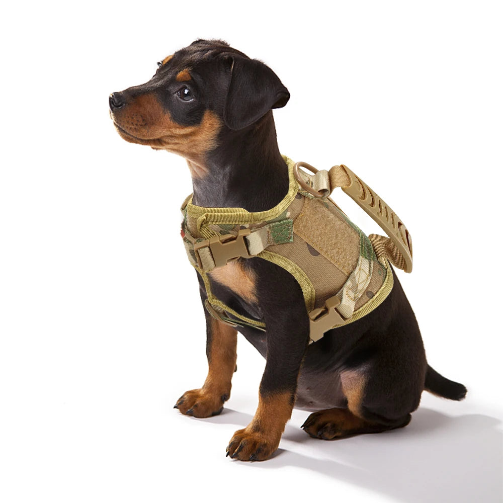 Tactical Cat Harness – Adjustable Military Vest for Cats & Small Dogs | Escape-Proof, Padded & Training Control Handle All orders ship fast from our USA warehouse 🇺🇸 (3-7 days)