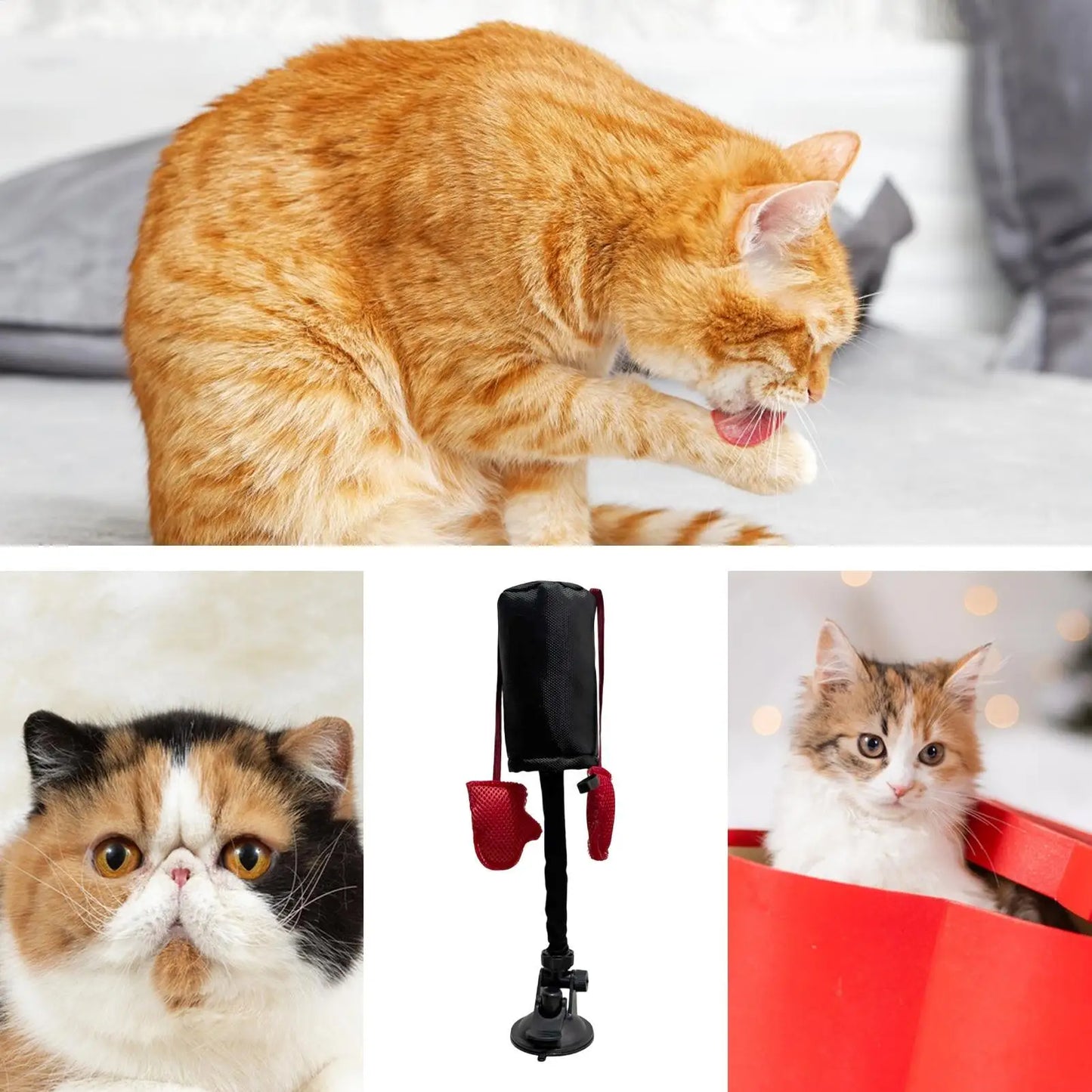 Kitten Play Toy Cat Boxing Bag Interactive Toy With Suction Cup Pet Teasing Interactive Play Train Activity For Balcony Garden